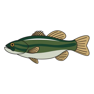 The Fishing Cap - Image 8